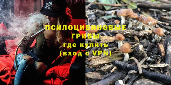 шишки Михайлов