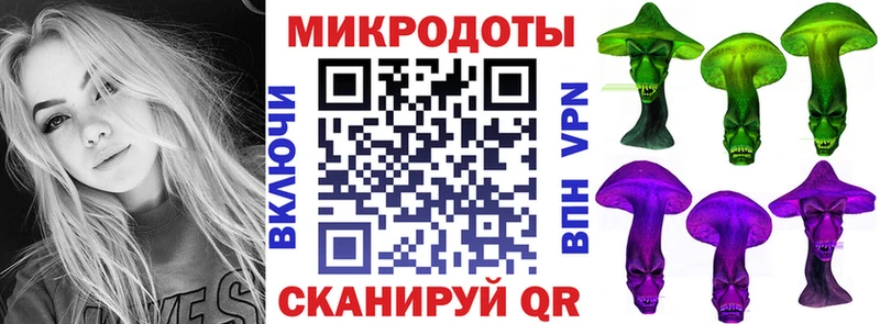 площадка официальный сайт  Пошехонье  Псилоцибиновые грибы Psilocybe 